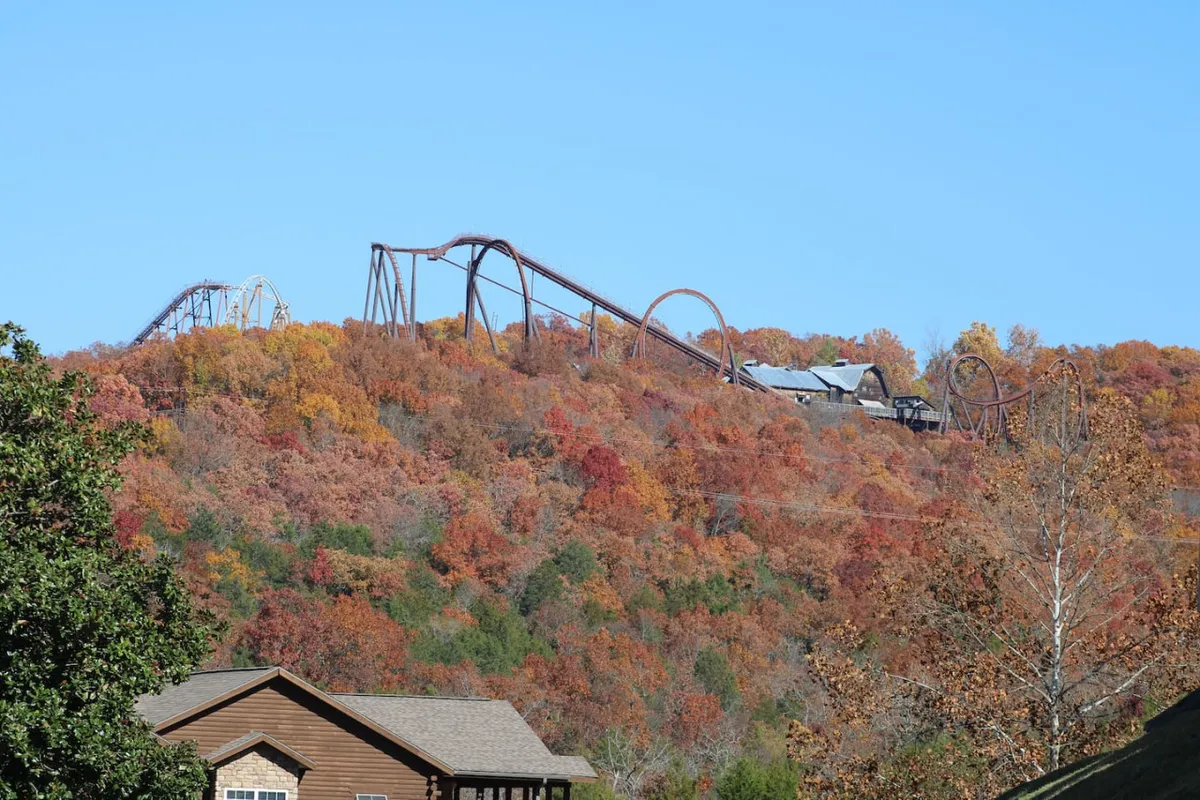 This image showcases a thrilling roller coaster set against vibrant autumn foliage and a log cabin-style building, capturing the excitement and natural beauty of the Silver Dollar City area. Families can be seen enjoying the amusement park atmosphere, emphasizing adventure and outdoor fun.